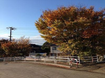 日企面試常見(jiàn)問(wèn)題和回答（14題）