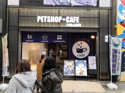 日本綠卡需要什么條件